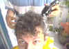 Cut12.JPG (60754 Byte)