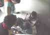 Kiz2.JPG (37457 Byte)