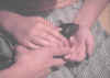 Ratte1.JPG (44937 Byte)