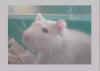 max.jpg (20532 Byte)